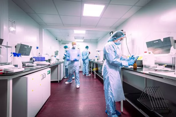 Sunderland medical cannabis firm expands and swaps minimum wage for starting salaries