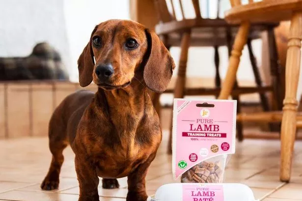 Welsh premium dog treat brand JR Pet Products acquired in multi-million-pound deal