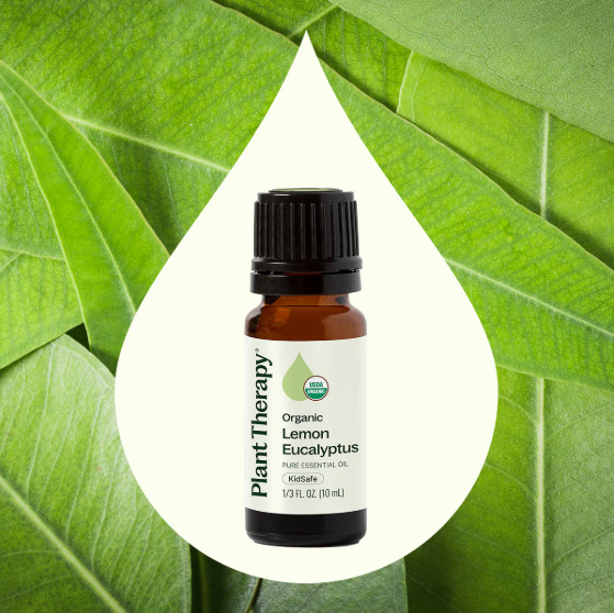 Plant Therapy: The Safe, Pure & Trusted Essential Oil Expert – Your Comprehensive Aromatherapy Guide