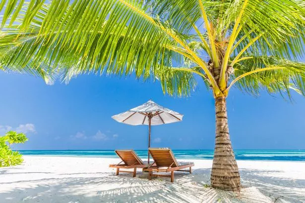 On the Beach brings back dividends and launches £25m share buyback for investors