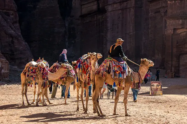 The 5 Irresistible Reasons to Embark on a Group Tour: Your Next Adventure Awaits