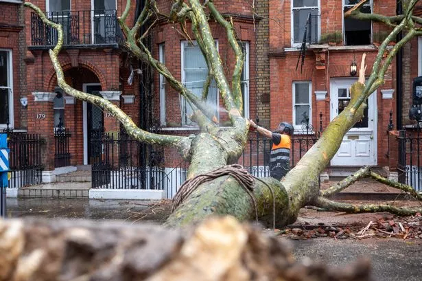 Train company says 'do not attempt to travel' as multiple lines closed