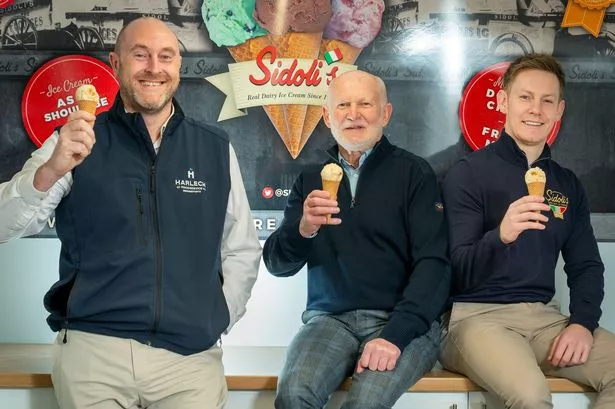 Family ice cream venture Sidoli's expanding in deal with food distribution firm Harlech Foodservices